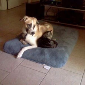 Meet your Posher, Brian